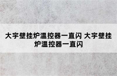 大宇壁挂炉温控器一直闪 大宇壁挂炉温控器一直闪